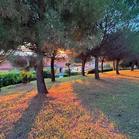 H11 Finestra Sul Mare - Santo Stefano *