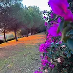 H11 Finestra Sul Mare - Santo Stefano