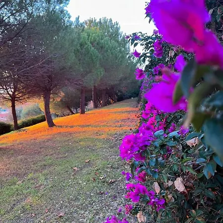 H11 Finestra Sul Mare - Santo Stefano