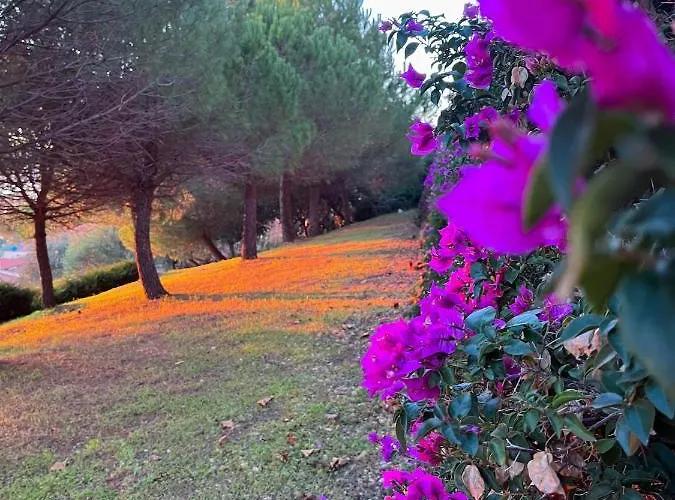 H11 Finestra Sul Mare - Santo Stefano